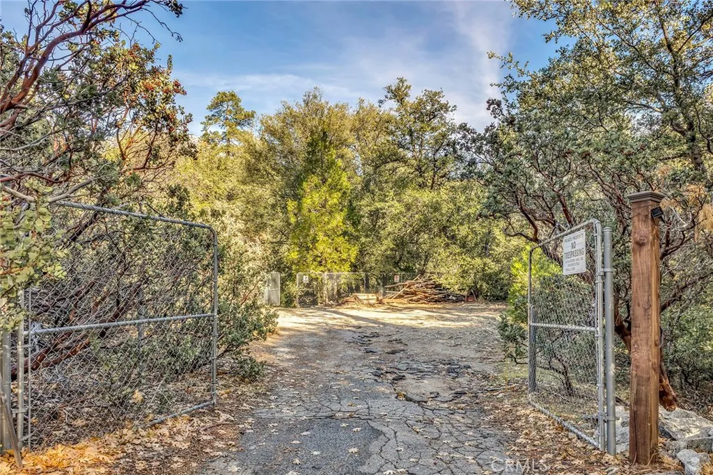 Additional image 114 of 53580 Jeffrey Pine Rd, Idyllwild, CA 92549