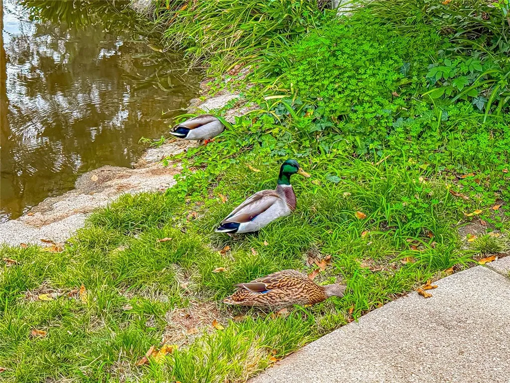 Additional image 43 of 7050 Shoup Ave Unit 163, Canoga Park, CA 91303