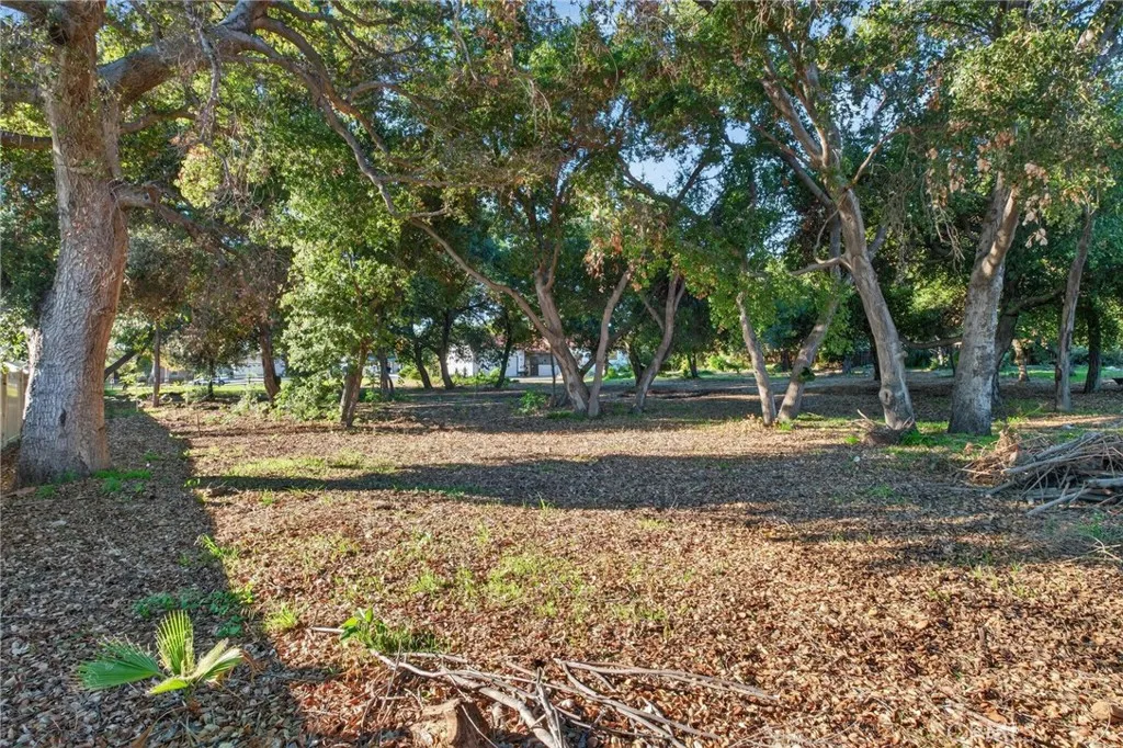 Additional image 69 of 736 N Walnut Ave, San Dimas, CA 91773