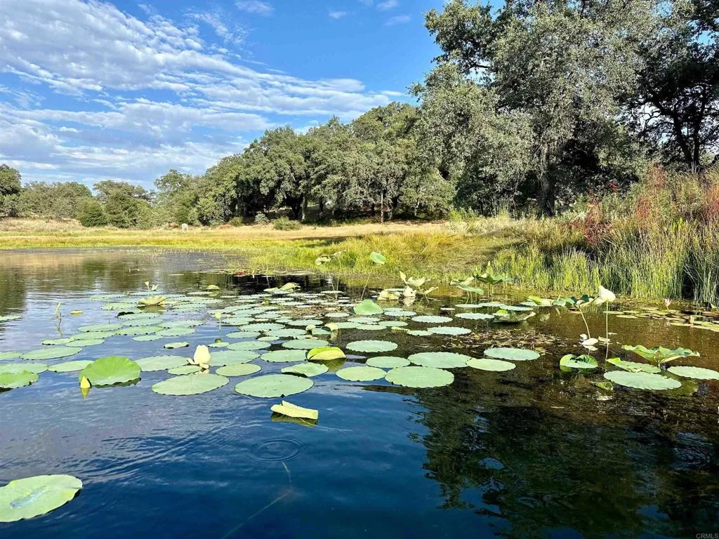 Additional image 50 of 25258 Black Canyon Road, Santa Ysabel, CA 92070