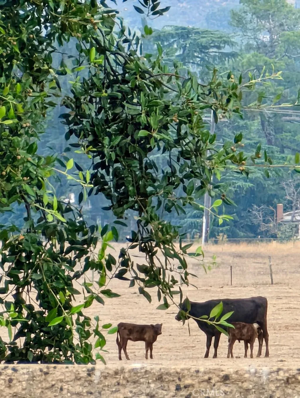 Property image for 860 Annandale, Beaumont, CA 92223