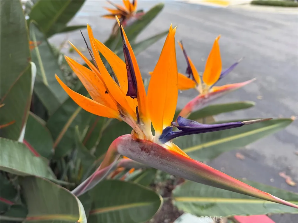 Additional image 65 of 1540 W Artesia Square Unit G, Gardena, CA 90248