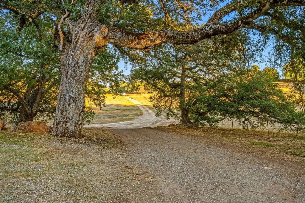 Additional image 134 of 25258 Black Canyon Road, Santa Ysabel, CA 92070