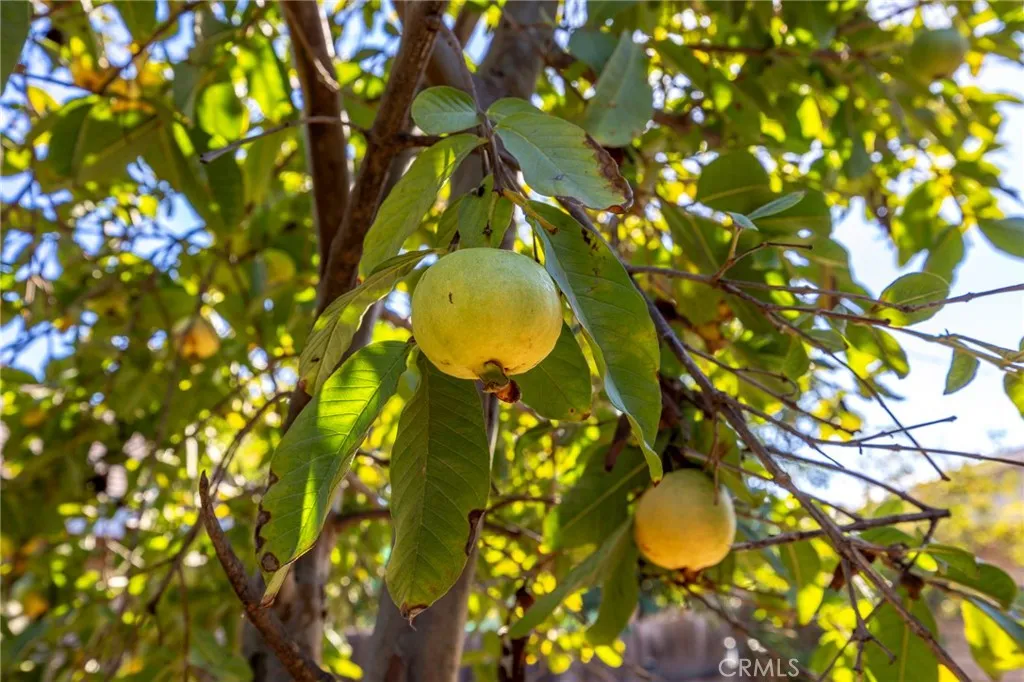 Additional image 30 of 10022 Chula Vista Way, Riverside, CA 92503