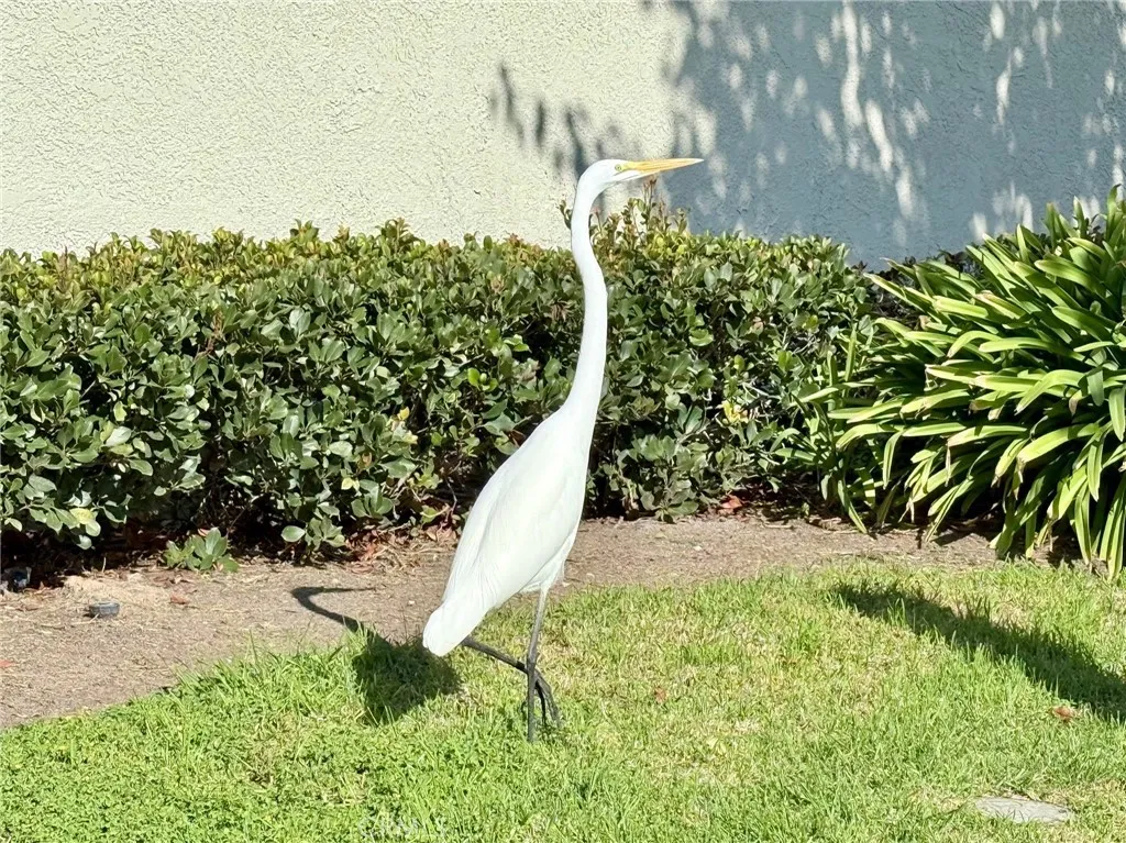 Additional image 33 of 22901 Caminito Flores Unit 130, Laguna Hills, CA 92653