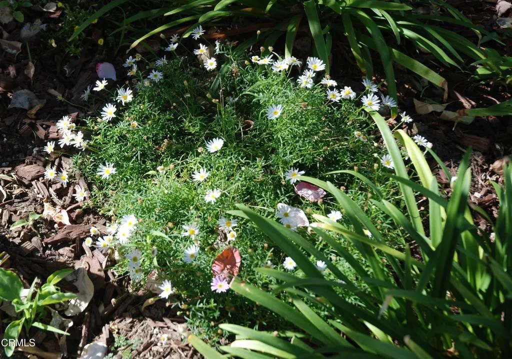 Additional image 66 of 4388 E Central Avenue Unit 63, Camarillo, CA 93010