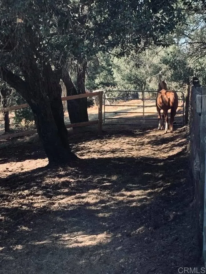 Additional image 122 of 22750 Illahee Drive, Alpine, CA 91901