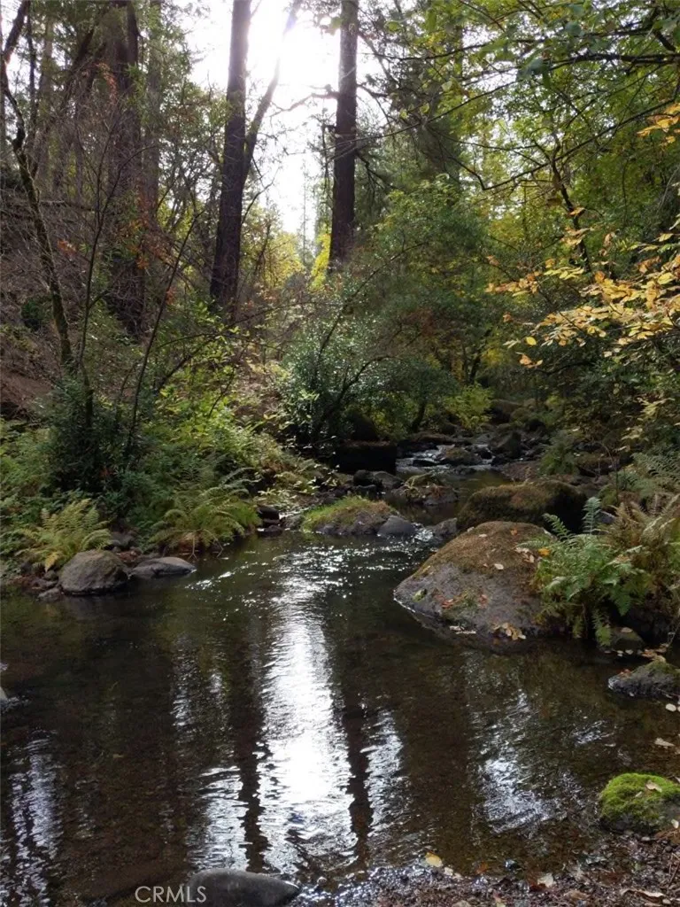 Additional image 133 of 15960 Bottle Rock Rd, Cobb, CA 95426