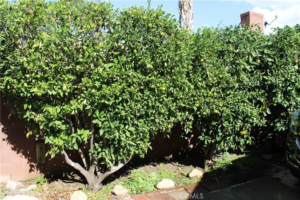 Additional image 39 of 312 W I St, Ontario, CA 91762