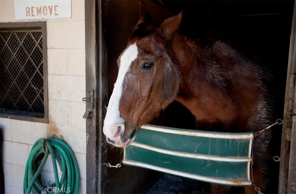 Additional image 68 of 644 Avenida Sevilla Unit Q, Laguna Woods, CA 92637