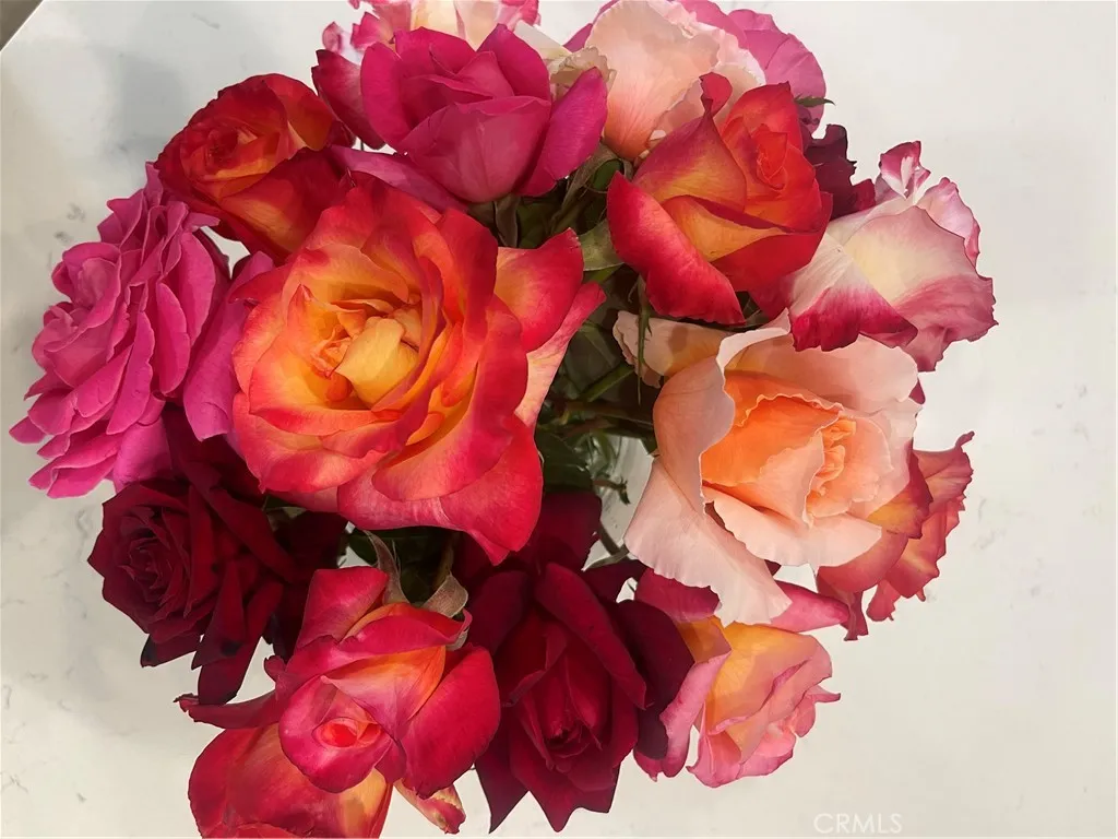 Additional image 106 of 40083 Corte Lorca, Murrieta, CA 92562