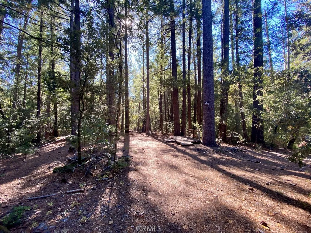 Additional image 121 of 15960 Bottle Rock Rd, Cobb, CA 95426