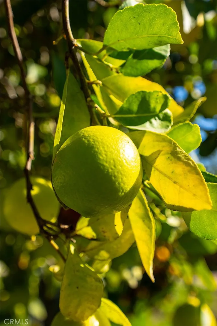 Additional image 84 of 4295 Hitch Boulevard, Moorpark, CA 93021