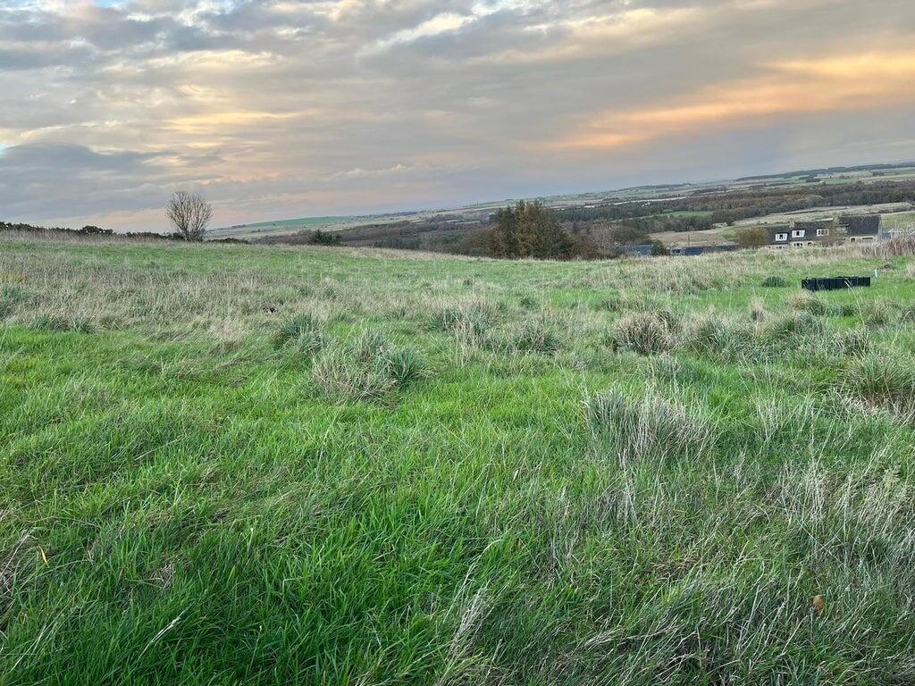 Additional image 8 of Property Site at Alexander Bell, New Pitsligo, AB43 6LT