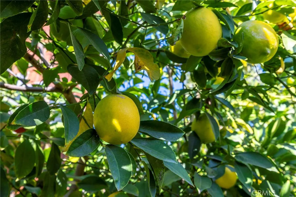 Additional image 66 of 10022 Chula Vista Way, Riverside, CA 92503