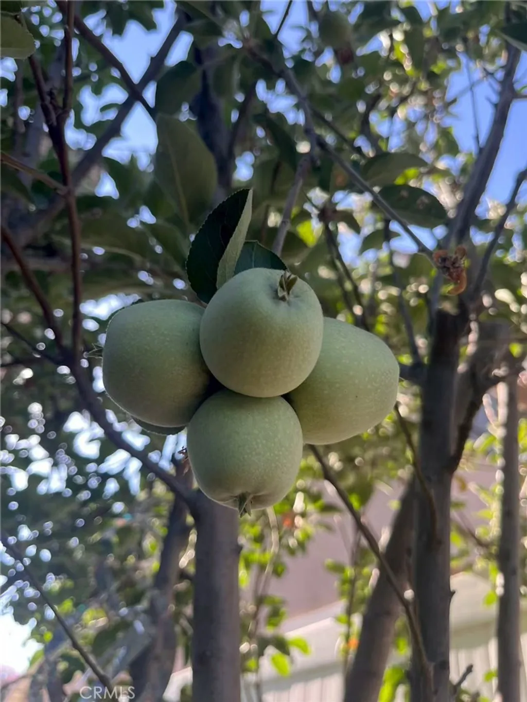 Additional image 23 of 1662 Palermo Dr, Riverside, CA 92507