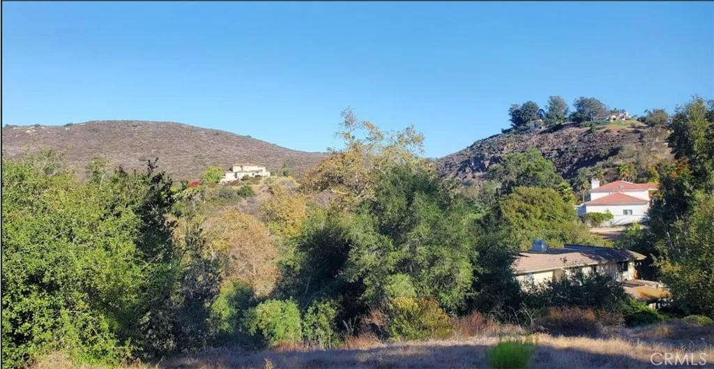 Additional image 10 of 3192 Via De Caballo, Encinitas, CA 92024