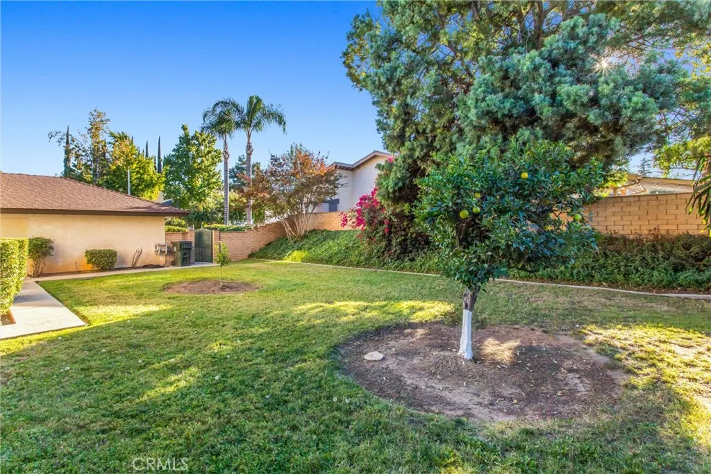 Additional image 38 of 1310 San Pablo Ave, Redlands, CA 92373