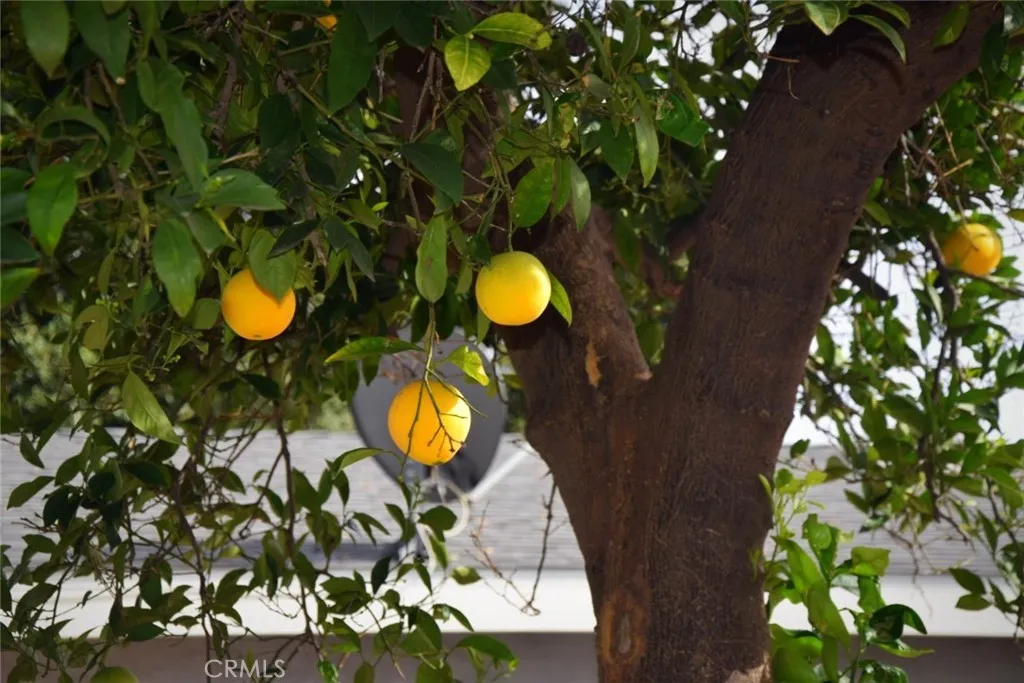 Additional image 65 of 416 W Park St, Ontario, CA 91762