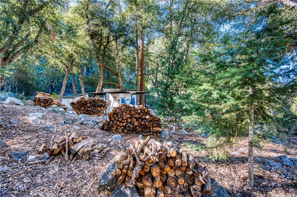 Additional image 41 of 9287 Corral Rd, Forest Falls, CA 92339