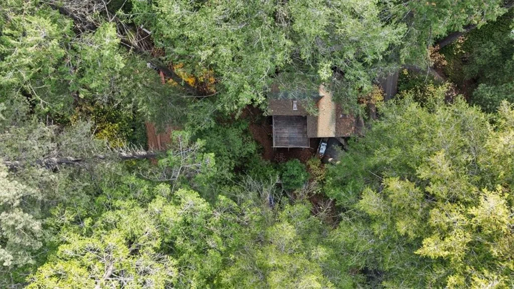 Additional image 73 of 11 Toyon Trl, Berry Creek, CA 95916