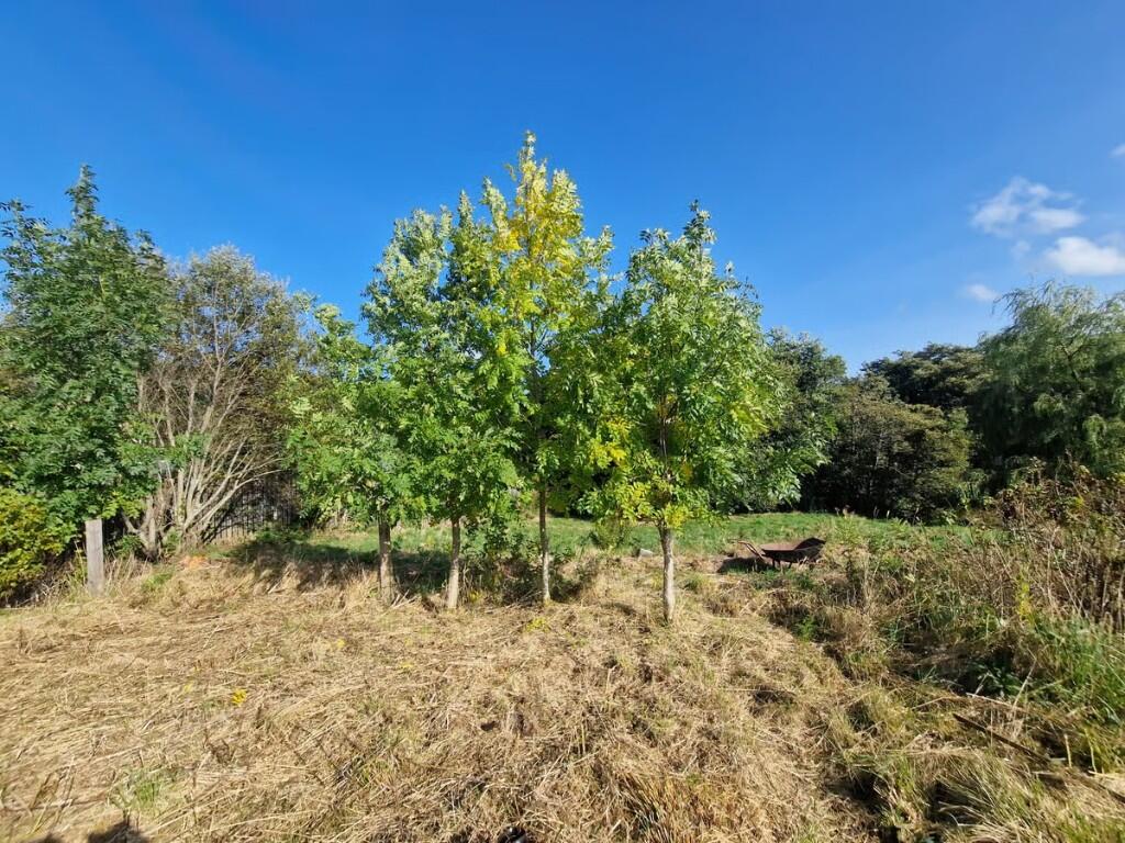 Additional image 8 of Building Plot At Hillside House, Rothes, Aberlour, Moray, AB38 7AQ