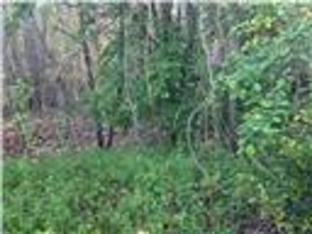 Additional image 4 of 13 Kendall Court, Phenix City, AL 36870