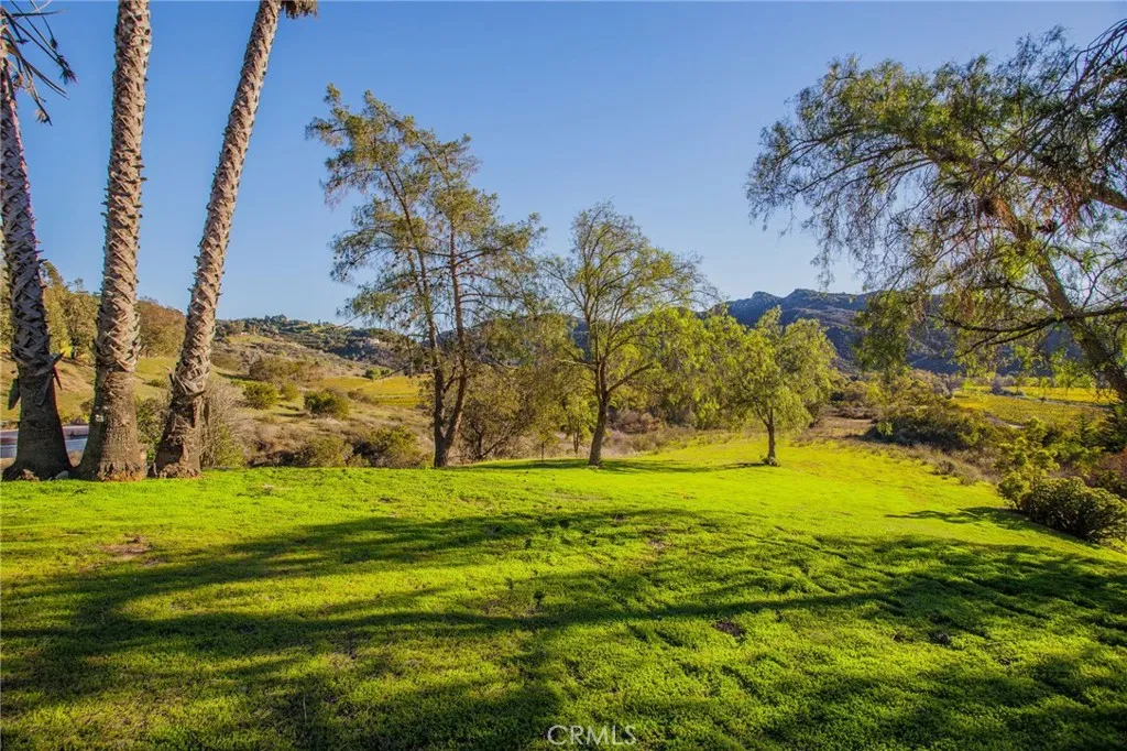 Additional image 52 of 31331 Rancho Amigos Rd, Bonsall, CA 92003