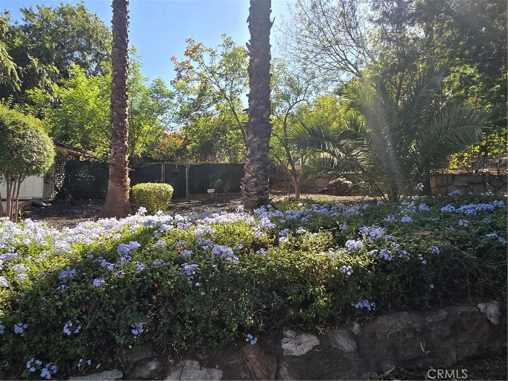 Additional image 17 of 4600 9th St, Riverside, CA 92501