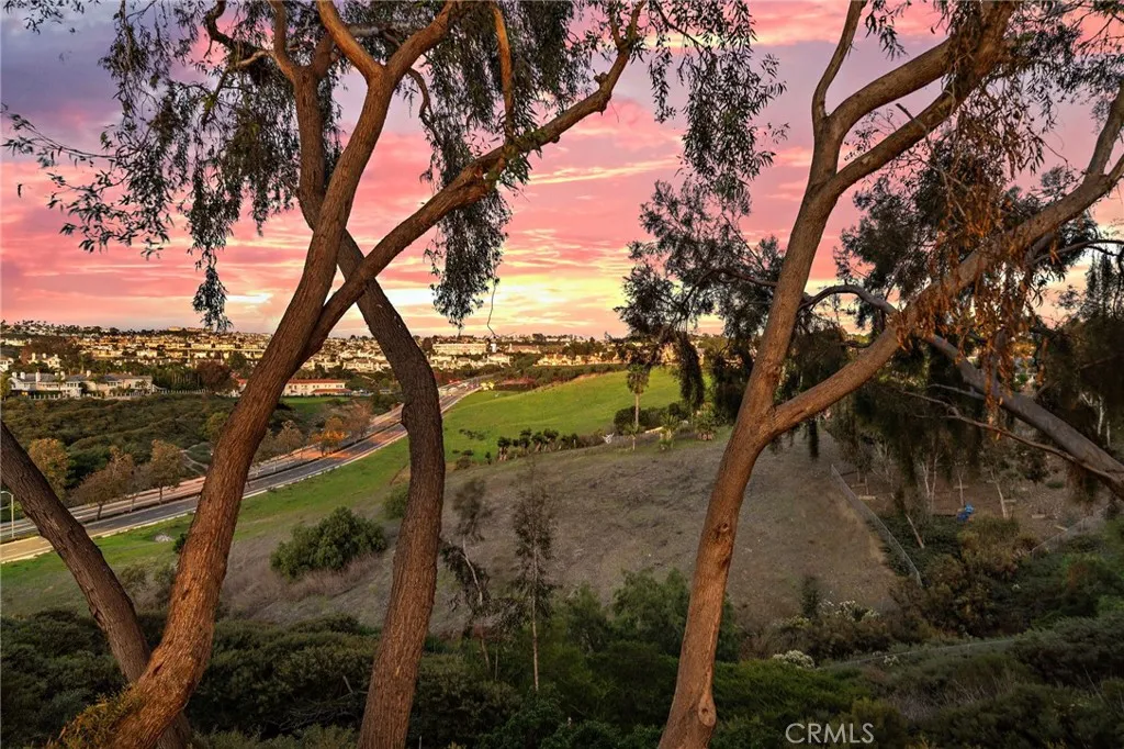 Additional image 35 of 24 Imperatrice, Dana Point, CA 92629