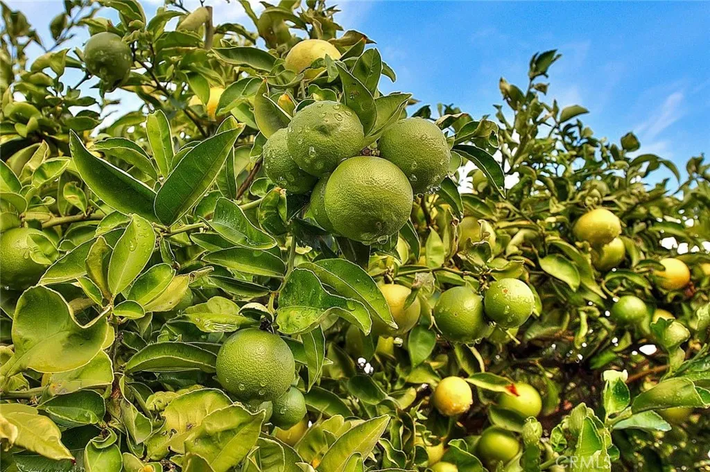 Additional image 31 of 9200 Westminster Boulevard Unit 35, Westminster, CA 92683