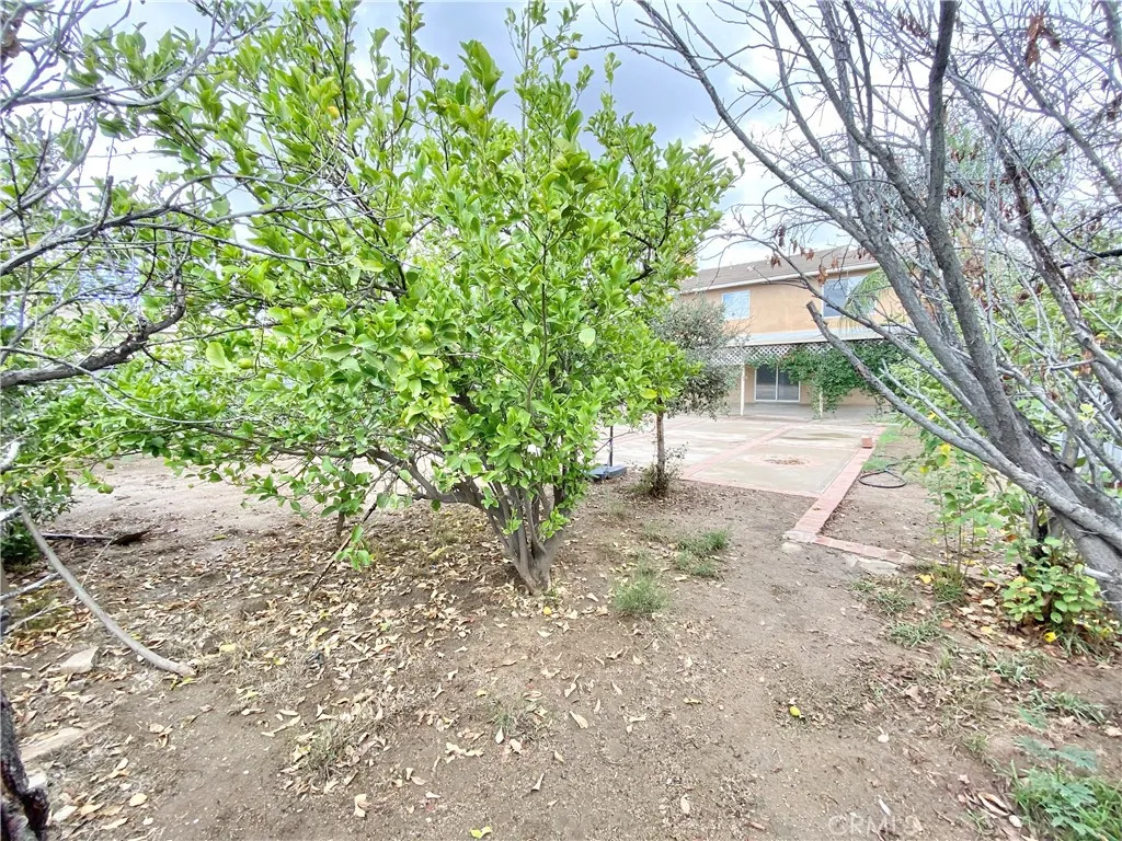 Additional image 91 of 13407 Brad Street, Moreno Valley, CA 92555