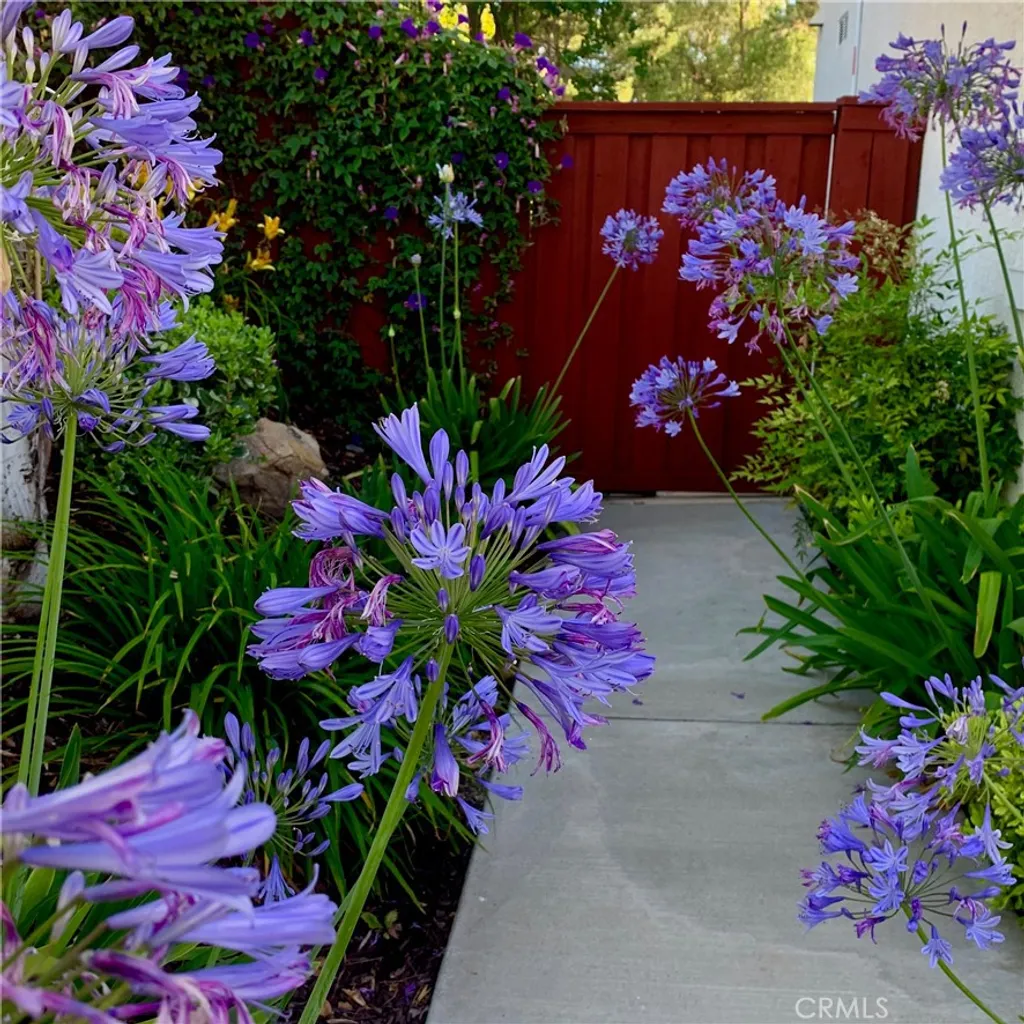 Additional image 33 of 31710 Corte Esparza, Temecula, CA 92592