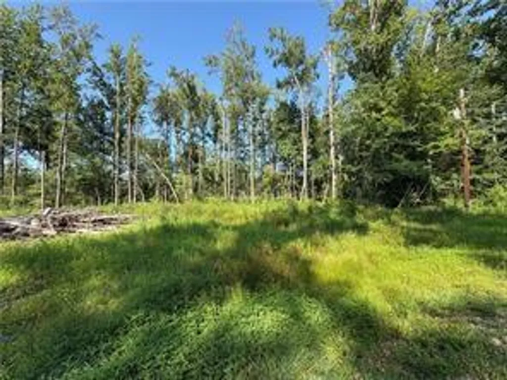 Property image for Sunnylane Dr, Smiths Station, AL 36877
