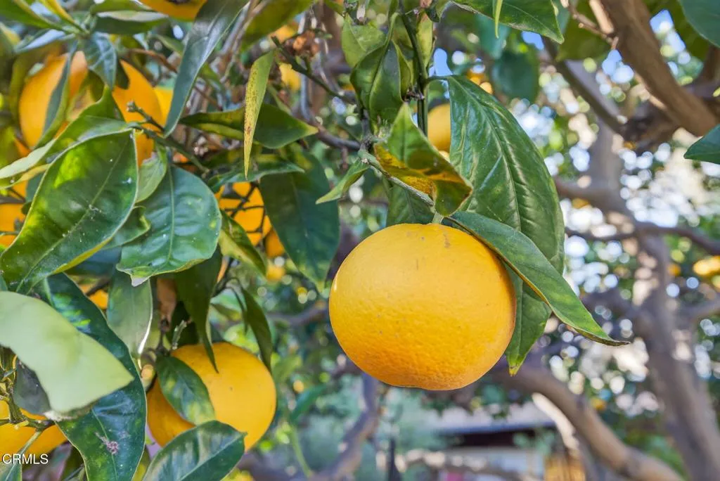 Additional image 47 of 3146 Strathmore Drive, Ventura, CA 93003