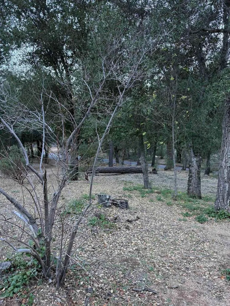 Additional image 26 of 9150 Pine Creek Rd #37, Pine Valley, CA 91962