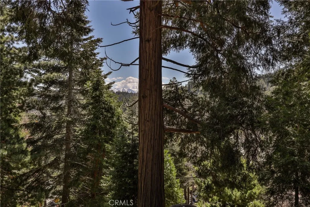 Additional image 45 of 26316 Ca-189, Twin Peaks, CA 92391