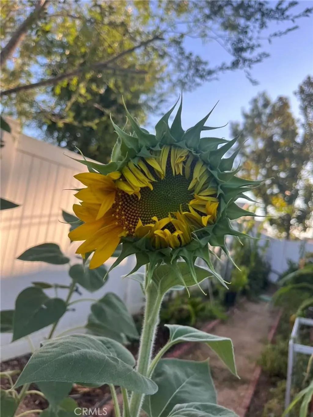 Additional image 22 of 1662 Palermo Dr, Riverside, CA 92507