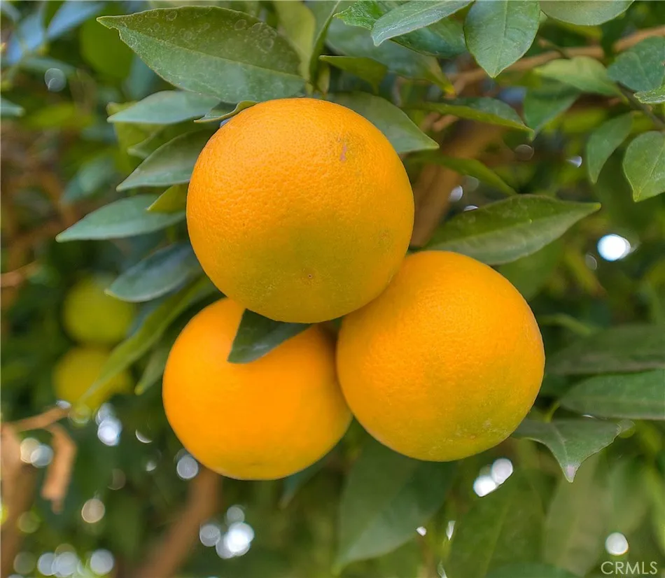 Additional image 47 of 1510 Ardilla Ave, La Puente, CA 91746