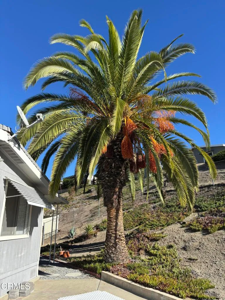 Additional image 99 of 28721 Via El Avion, Murrieta, CA 92563