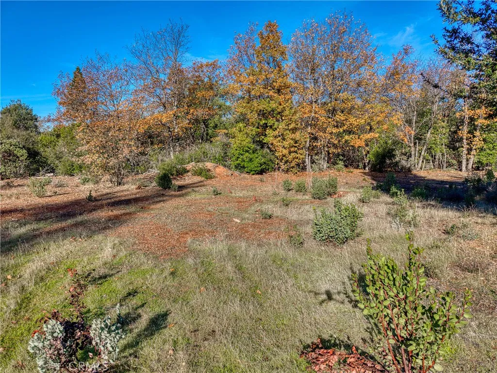 Additional image 74 of 9184 Diamond Dust Trl, Kelseyville, CA 95451