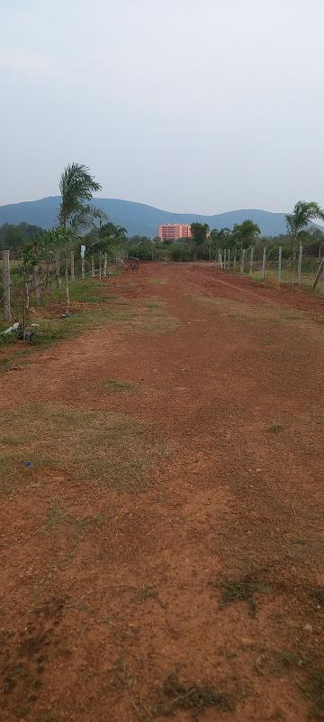 Additional image 3 of Gangapada, Bhubaneswar