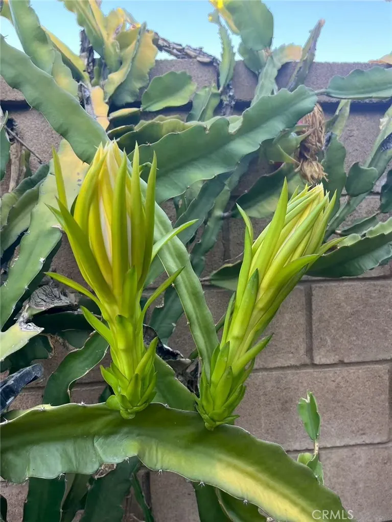 Additional image 55 of 1662 Palermo Dr, Riverside, CA 92507