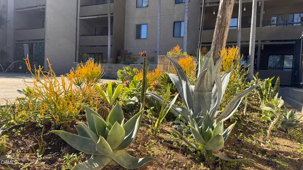 Additional image 73 of 1450 Locust Avenue Unit 425, Long Beach, CA 90813