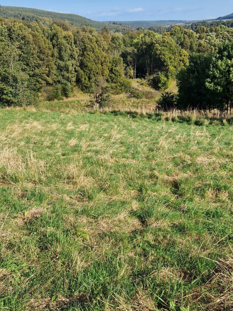 Additional image 7 of Building Plot At Hillside House, Rothes, Aberlour, Moray, AB38 7AQ