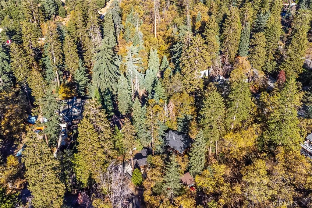 Additional image 72 of 5879 Mountain Creek Home, Angelus Oaks, CA 92305