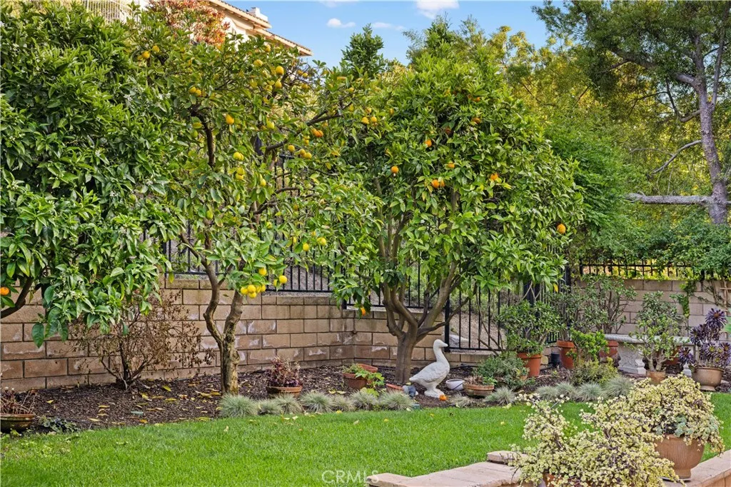 Additional image 130 of 31232 Calle Bolero, San Juan Capistrano, CA 92675