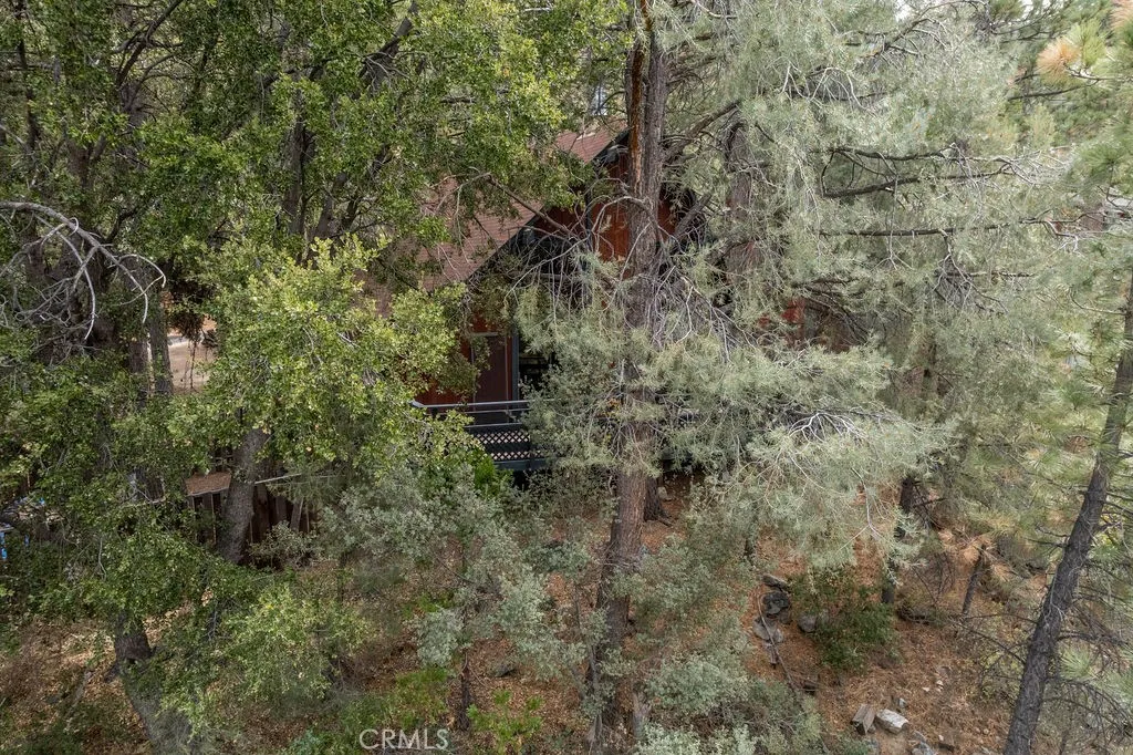 Additional image 117 of 1521 Bernina Drive, Pine Mountain Club, CA 93222
