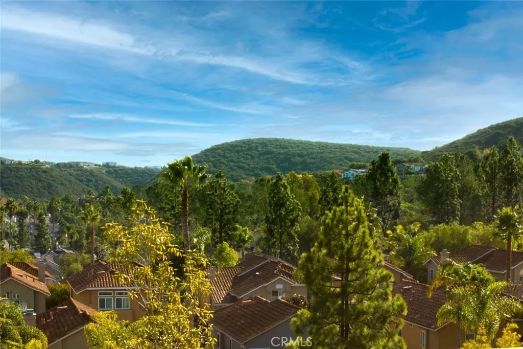 Additional image 39 of 3139 Avenida Olmeda, Carlsbad, CA 92009