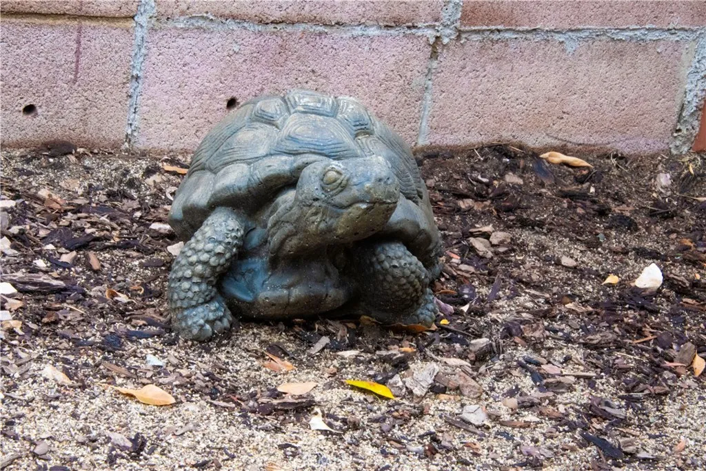 Additional image 33 of 43729 Hardwood Ave, Lancaster, CA 93534